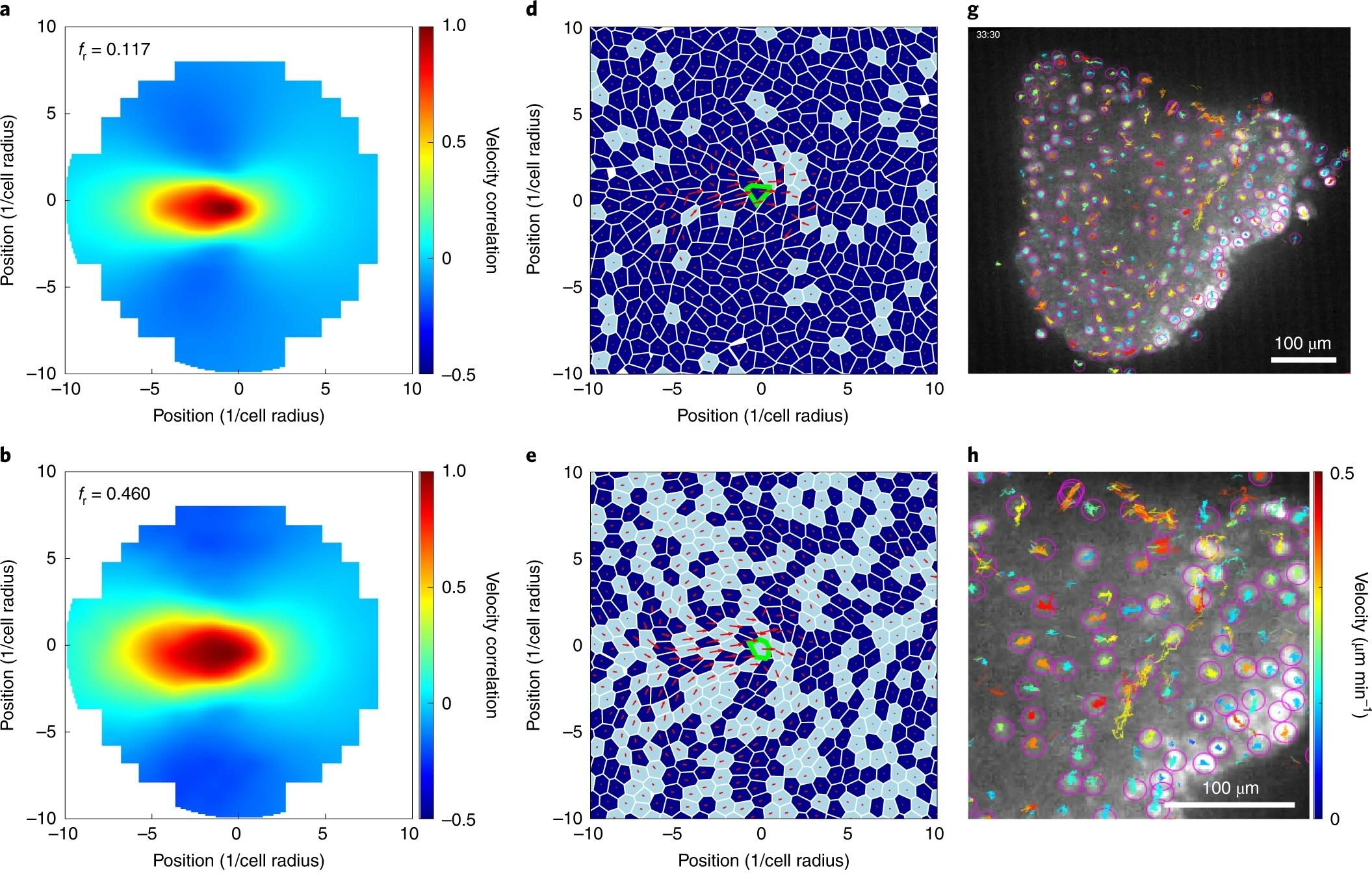 Physics of cancer - Nature Physics figure
