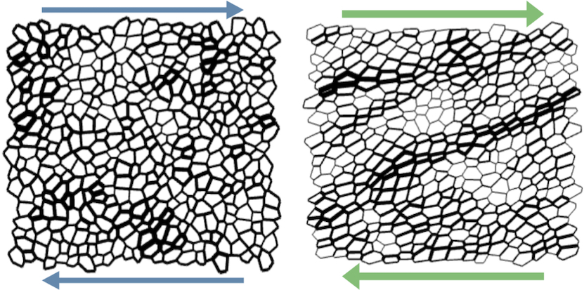Epithelial mechanics - density of states